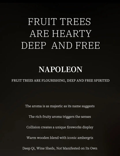 100ML Men's Napoleon Knight Perfume Pure Ocean Fragrance Fruit Wood Fragrance Covering Sweat Flavor Body Flavor